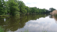 Teichwirtschaft Lippitsch - Angelteich - Schloßteich