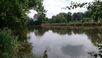 Teichwirtschaft Lippitsch - Angelteich - Schloßteich