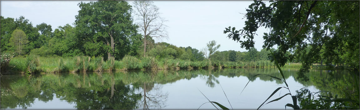 Angelteich Teichwirtschaft Lippitsch - Tagesangelerlaubnis