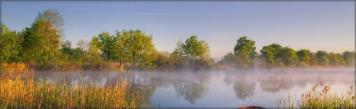 Teichwirtschaft Lippitsch - Aufzucht von Satzkarpfen und Speisekarpfen in der Oberlausitzer Heide- und Teichlandschaft