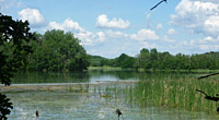 Fischereibetrieb Teichwirtschaft Lippitsch in der Oberlausitz, Sachsen