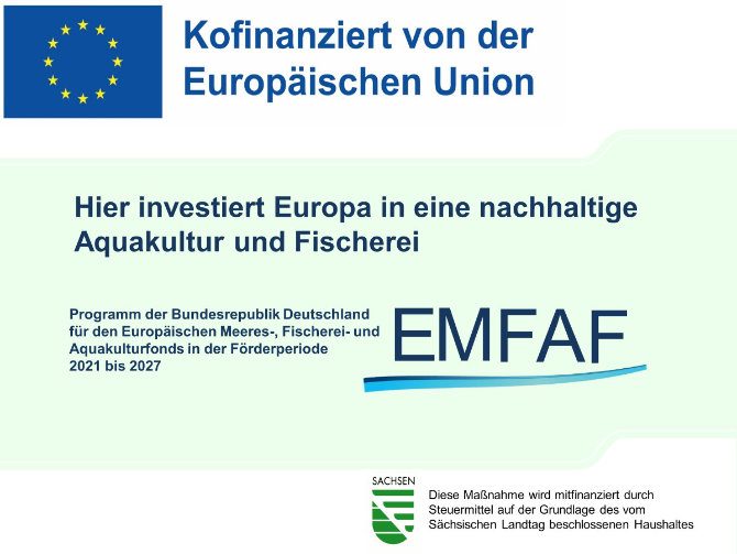 Grafik: Kofinanziert von der Europäischen Union