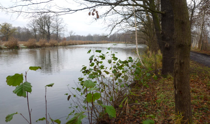 Unser Angelteich/Schlossteich Unser Angelteich/Schlossteich
