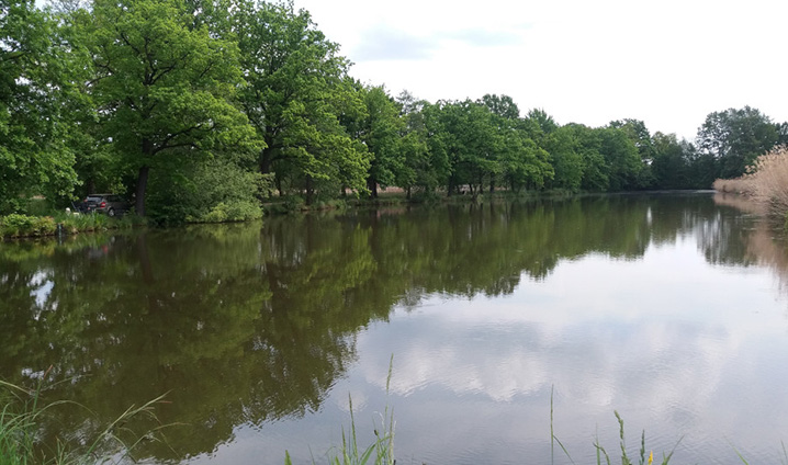 Unser Angelteich/Schlossteich Unser Angelteich/Schlossteich