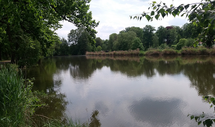 Unser Angelteich/Schlossteich Unser Angelteich/Schlossteich