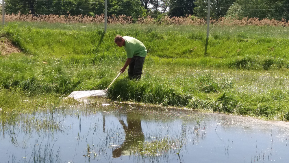 schonend Abfischen schonend Abfischen