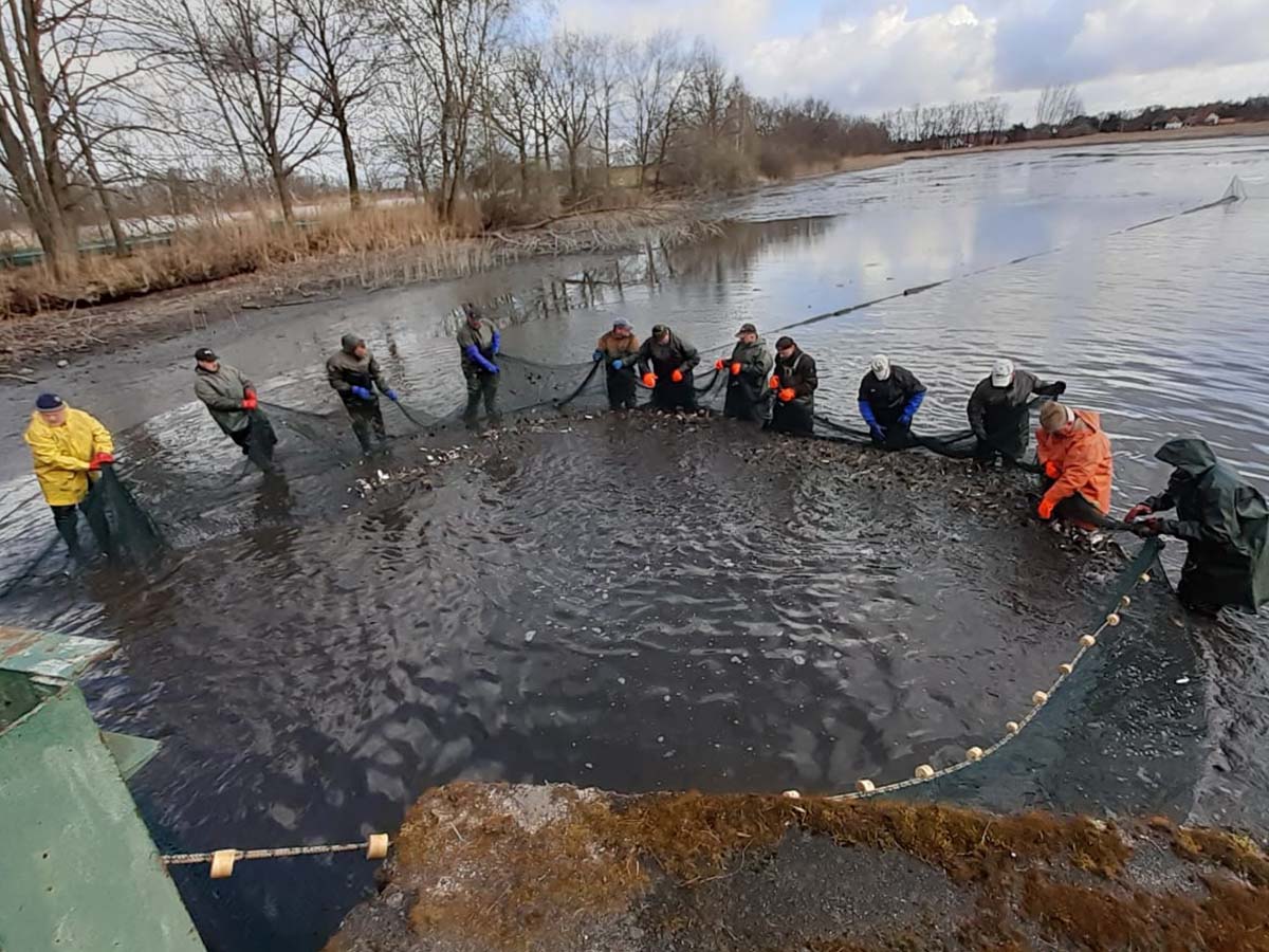Abfischen mittels Zugnetz Abfischen mittels Zugnetz