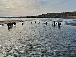 Weitere Eindrücke unserer Teichwirtschaft Weitere Eindrücke unserer Teichwirtschaft