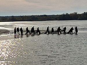 Weitere Eindrücke unserer Teichwirtschaft Weitere Eindrücke unserer Teichwirtschaft