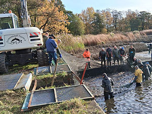 Weitere Eindrücke unserer Teichwirtschaft Weitere Eindrücke unserer Teichwirtschaft