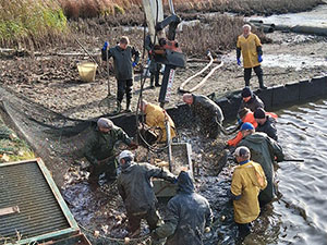 Weitere Eindrücke unserer Teichwirtschaft Weitere Eindrücke unserer Teichwirtschaft