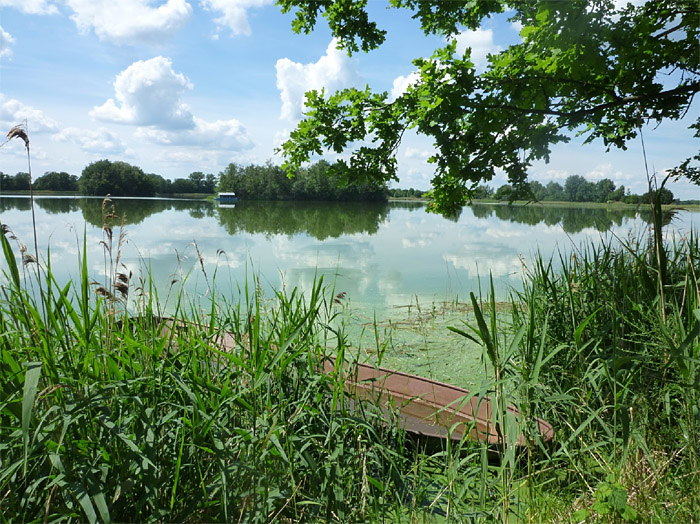 Teich Vorwerksteich