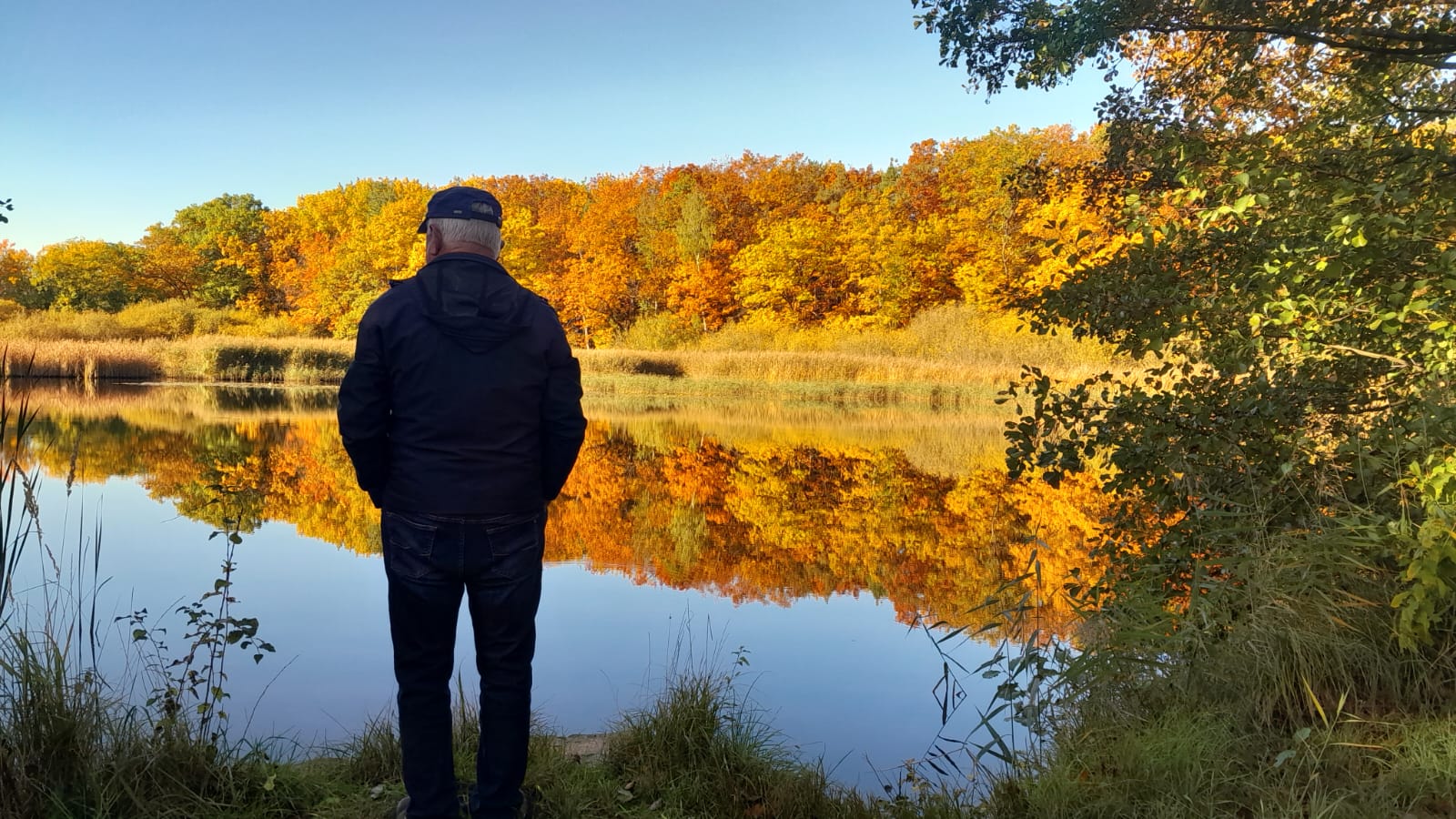 Blick auf einen unserer Teiche